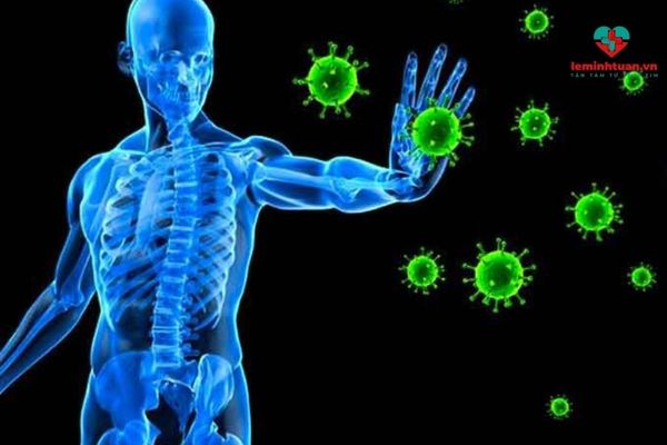 Lợi khuẩn tăng cường hệ miễn dịch cho cơ thể