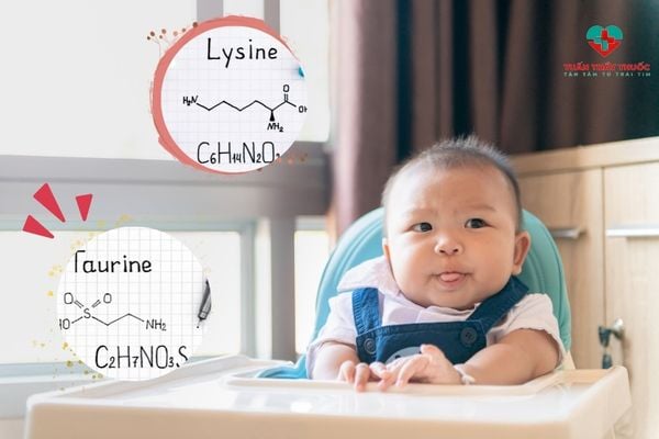 Trẻ biếng ăn thiếu chất gì: Trẻ thiếu lysine và taurine