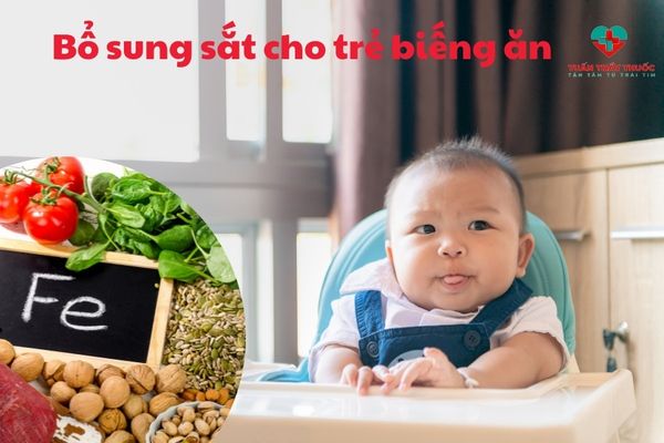 Trẻ biếng ăn thiếu chất gì: Trẻ thiếu sắt