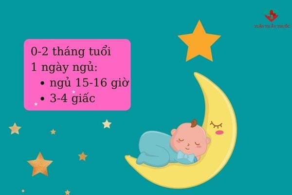 Số giờ ngủ của trẻ sơ sinh