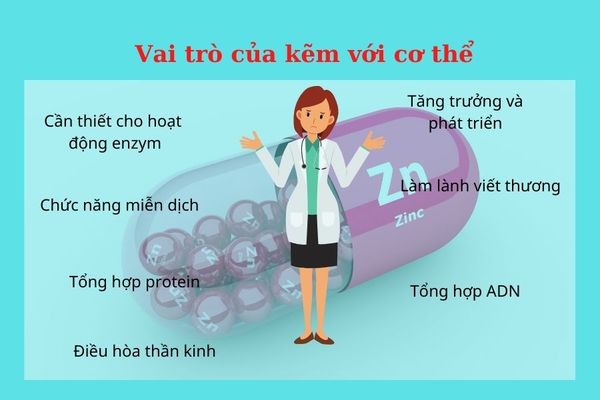 Vai trò của kẽm với cơ thể của trẻ