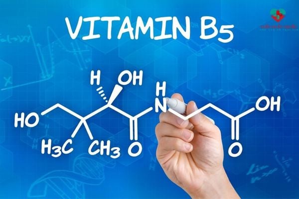 Vitamin B5 là vitamin quan trọng với cơ thể chúng ta
