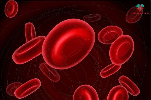 Vitamin B12 giúp tạo ra các tế bào hồng cầu và phòng chống thiếu máu