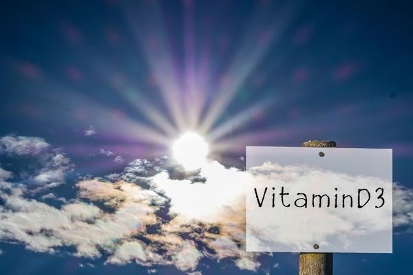 Vitamin D3 được tổng hợp từ mặt trời