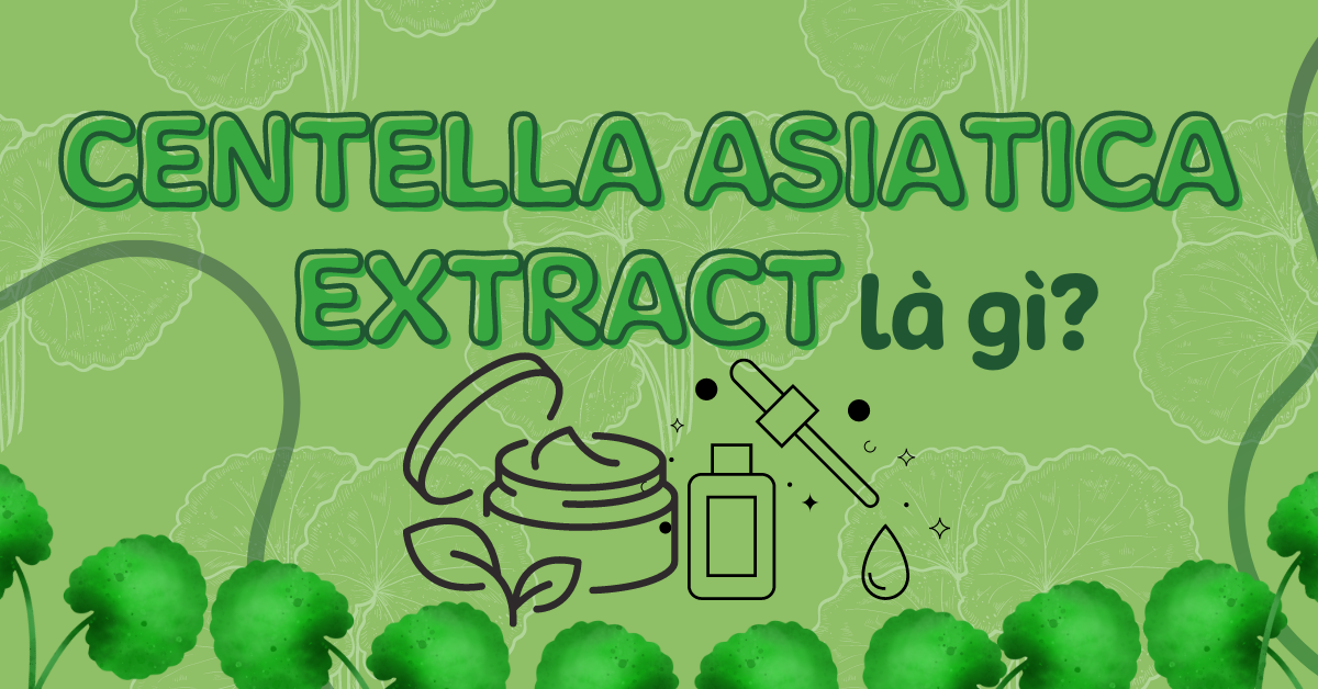 Centella Asiatica là chất gì? Có công dụng gì cho da?