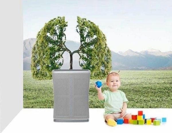 Máy lọc không khí Stadler Form Roger Little