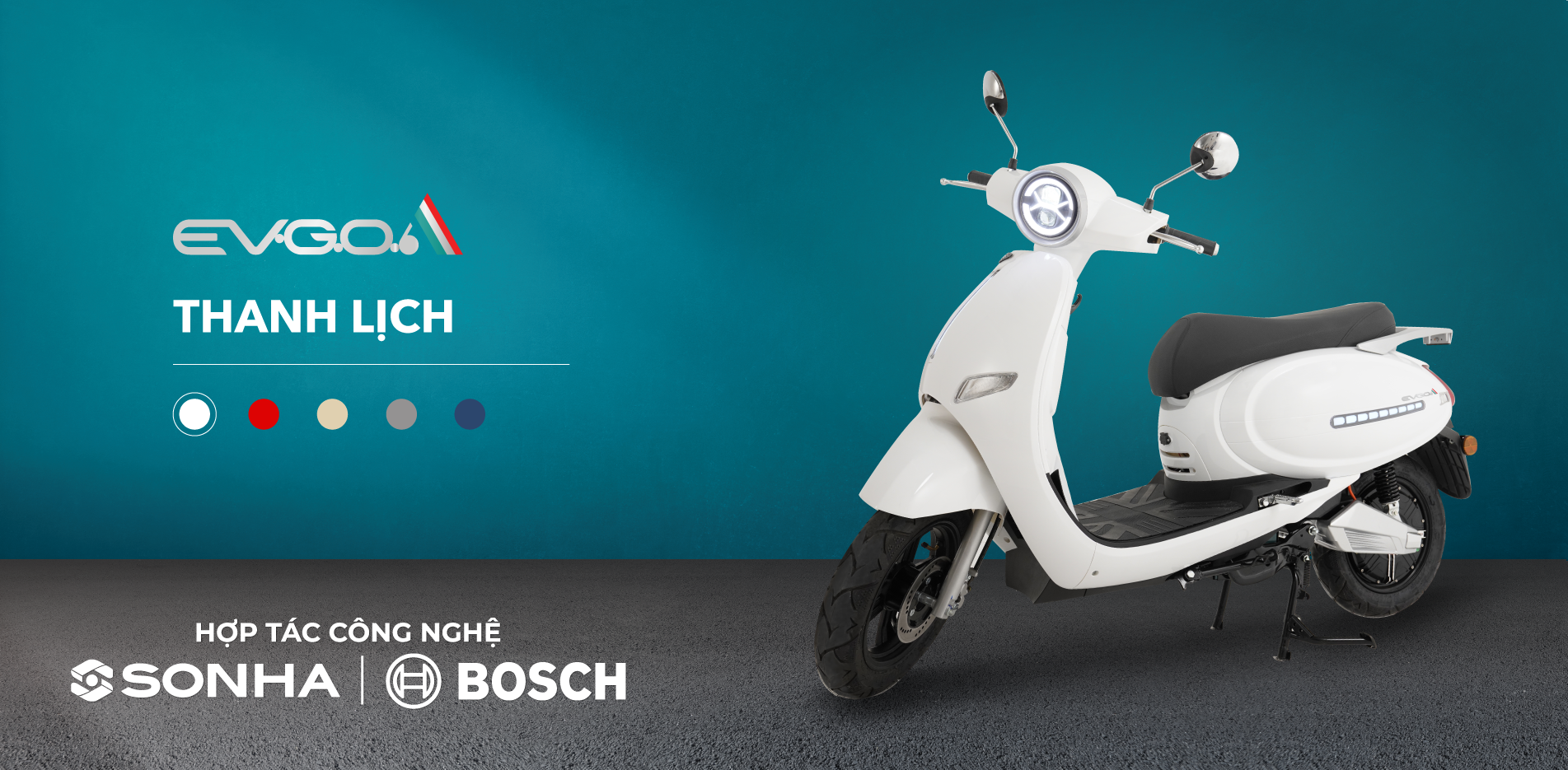 Mua xe điện EVGO có bền không mọi người? Có bị thoái hoá pin nhanh không ạ? - 1