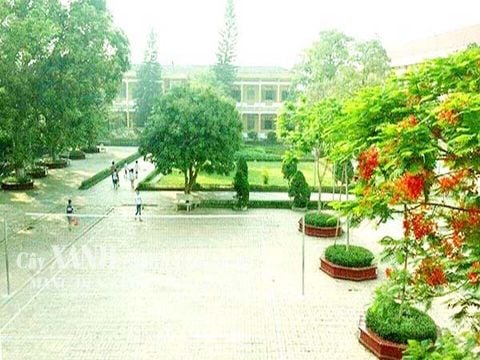 Cải tạo mảng xanh khu vực sân Trường cấp 1 Bà Điểm -  Huyện Hóc Môn, Tp. HCM