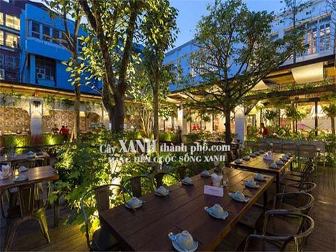 Thi công cây xanh Nhà hàng Anh Đức - Quận 10, Tp. HCM