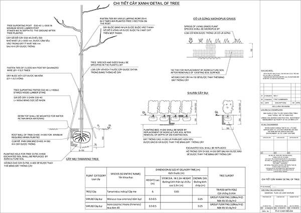 trồng cây xanh dự án