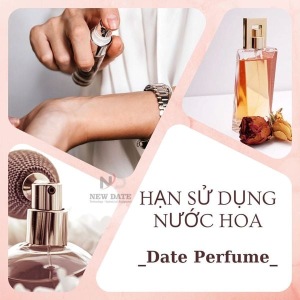 Bài viết