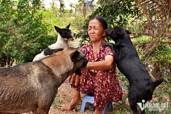 Cụ bà 3 nhà về già trắng tay vẫn nhịn ăn nuôi chó, mèo hoang (Ảnh: Báo Vietnamnet)