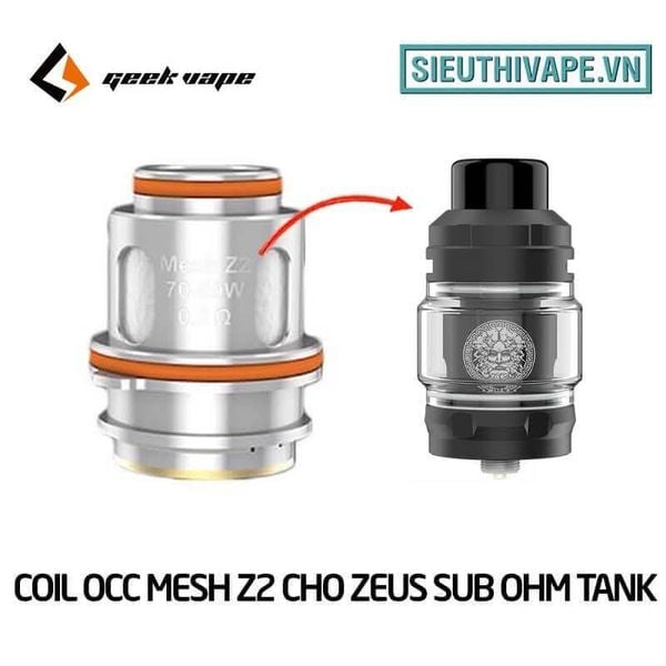 Z2 Mesh Coil