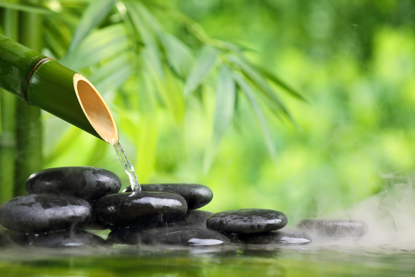 Tranh trang trí spa