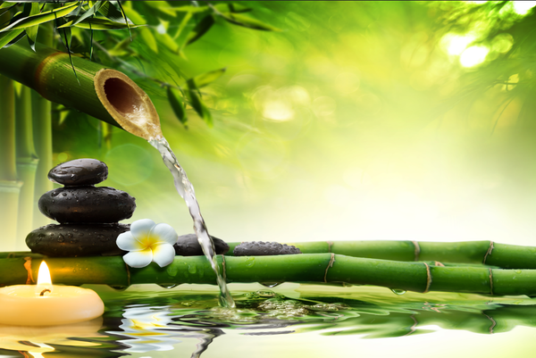 Tranh trang trí spa