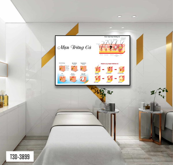 Tranh treo Spa khung hợp kim