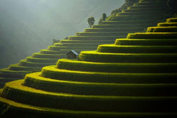 Tranh phong cảnh núi rừng