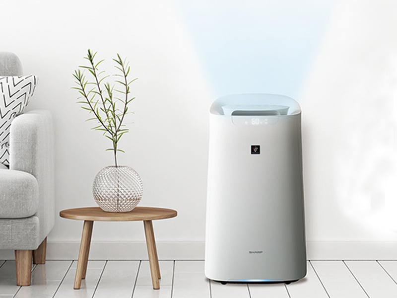Có nên mua máy lọc không khí Nhật nội địa không?