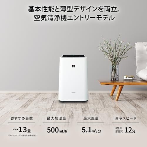 Máy lọc không khí Nhật