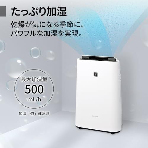 Máy lọc không khí Nhật