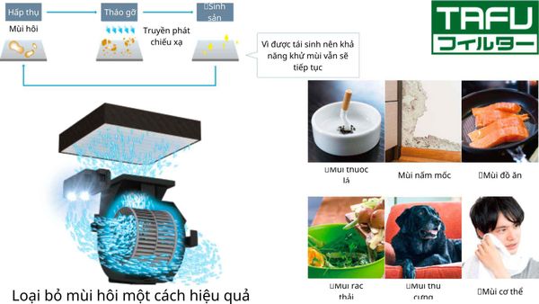 Bộ phát Twin Streamer
