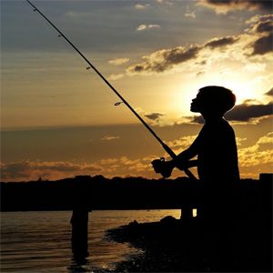 Hướng dẫn câu cá chép và cách làm mồi dụ cá tuyệt đỉnh