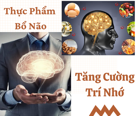 Top thực phẩm bổ não, tăng cường trí nhớ và khả năng tập trung