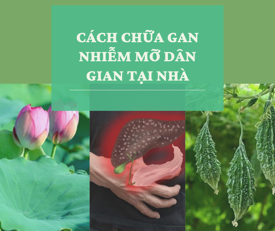 Tổng hợp cách chữa gan nhiễm mỡ dân gian tại nhà