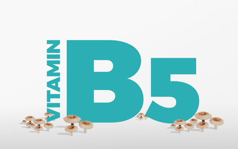Vitamin B5 là gì? Uống vitamin B5 chống rụng tóc có thực sự hiệu quả?