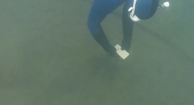 Sáu tháng dưới đáy hồ, chiếc iPhone 11 vẫn 