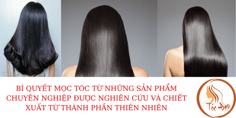 ĐẶT ĐIỂM NHẬN DẠNG TÓC HƯ TỔN CẦN PHỤC HỒI SAU KHI LÀM TÓC VÀ PHƯƠNG PHÁP PHỤC HỒI