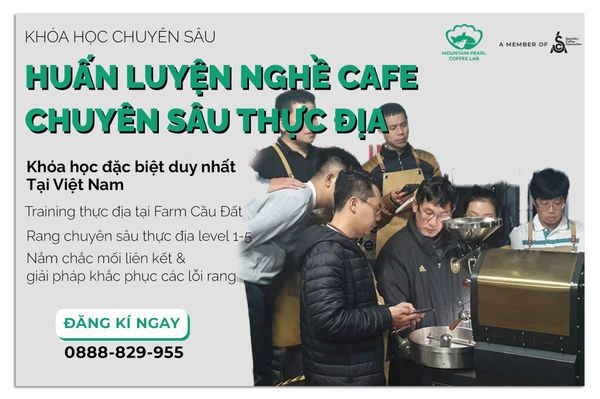 NGHỀ CAFE CHUYÊN SÂU THỰC ĐỊA: MASTER ROAST COFFEE FARM CAMPING THÁNG 10. 2022