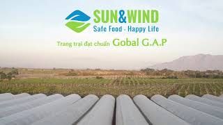 Sun&Wind TRANG TRẠI ĐẠT CHUẨN GLOBAL G.A.P