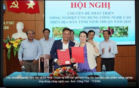 Hội nghị chuyên đề về phát triển nông nghiệp ứng dụng công nghệ cao năm 2024 tại Ninh Thuận