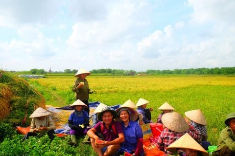 Hành Trình Của Ngỗng – Kiến Tạo Hệ Sinh Thái Nông Nghiệp Bền Vững