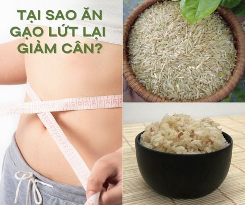 TẠI SAO GẠO LỨT GIÚP GIẢM CÂN?