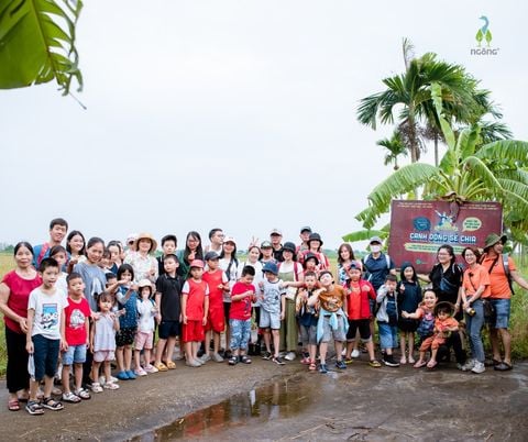 Sổ Gạo - Cánh Đồng Sẻ Chia: Giải Pháp Gạo Sạch, Nông Nghiệp Bền Vững