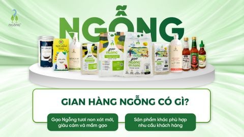 Phát triển sản phẩm chế biến: Nâng cao giá trị nông sản Việt, hướng đến xuất khẩu bền vững