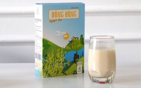 Gợi ý cách pha sữa hạt Đòng Đòng thơm ngon sánh mịn