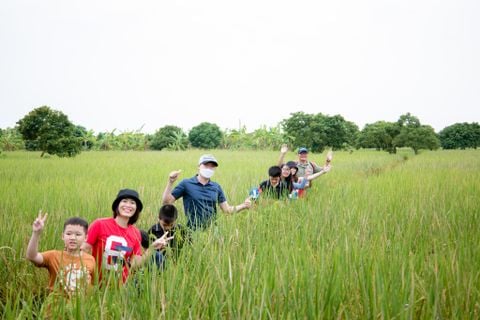Tour Du Lịch Sinh Thái 