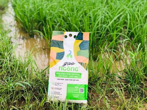 Gạo ruộng rươi - Bí quyết cho bữa cơm ngon, sạch và tốt cho sức khỏe