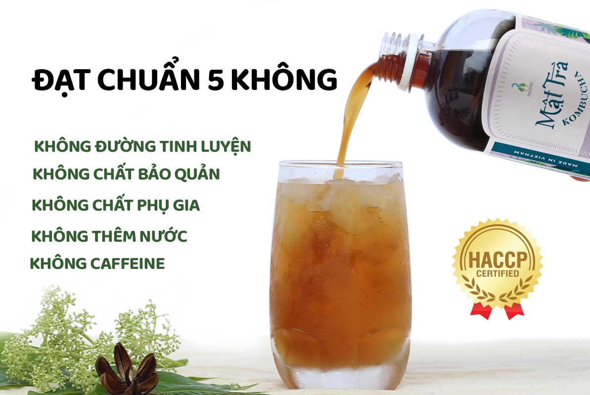 Mật Trà Kombucha Dưỡng Sinh