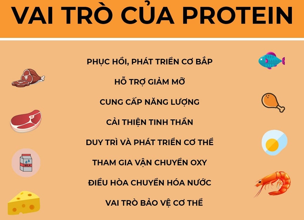 Vai trò quan trọng của Protein đối với cơ thể