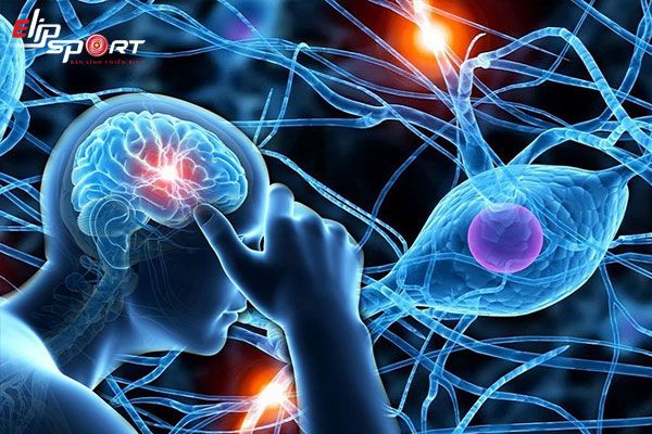 Tiềm năng vô hạn của trí thông minh con người