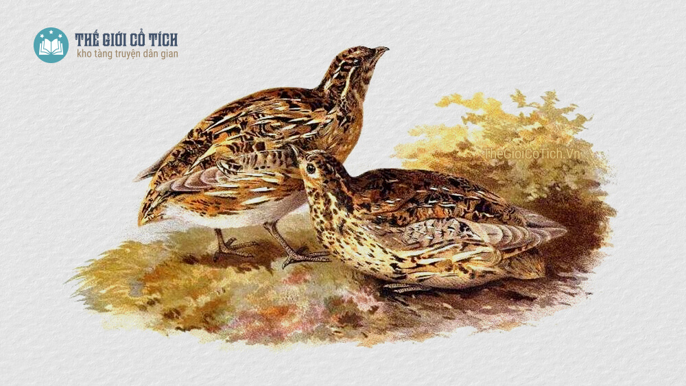 Truyện cổ tích: sự tích chim đa đa