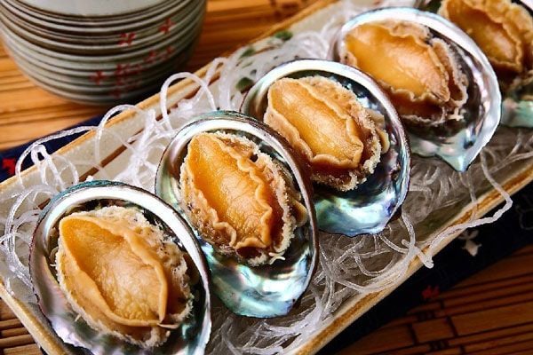 Yến và bào ngư không giúp tăng đề kháng
