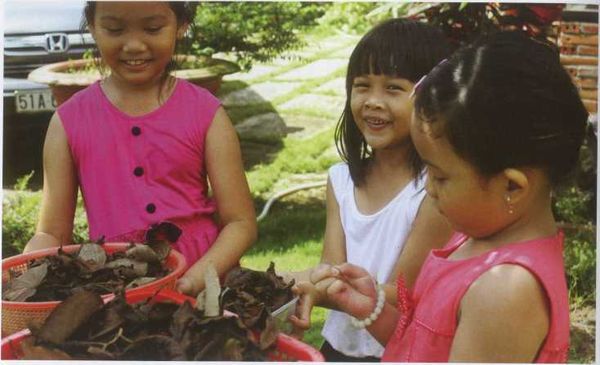 Cùng kích thước