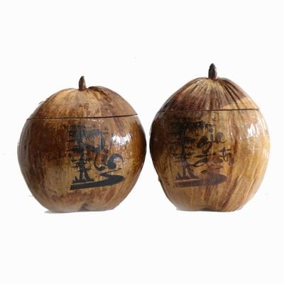 Lạ Ninh Thuận Dừa bất ngờ ra trái có hình dáng giống bắp ngô