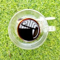 Bảng giá bán lẻ và sỉ các loại cà phê hạt rang Robusta - Arabica Niên vụ 2023-2024