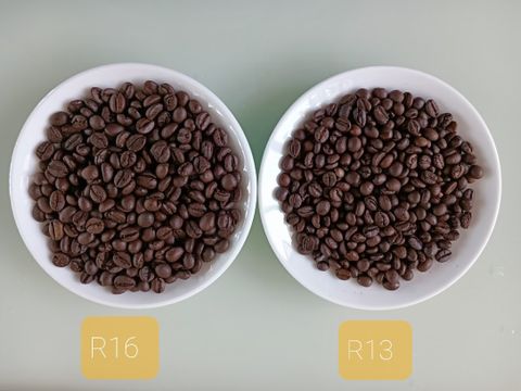 Bảng giá bán lẻ và sỉ các loại cà phê hạt rang Robusta - Arabica Niên vụ 2024